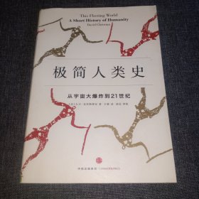 极简人类史：从宇宙大爆炸到21世纪