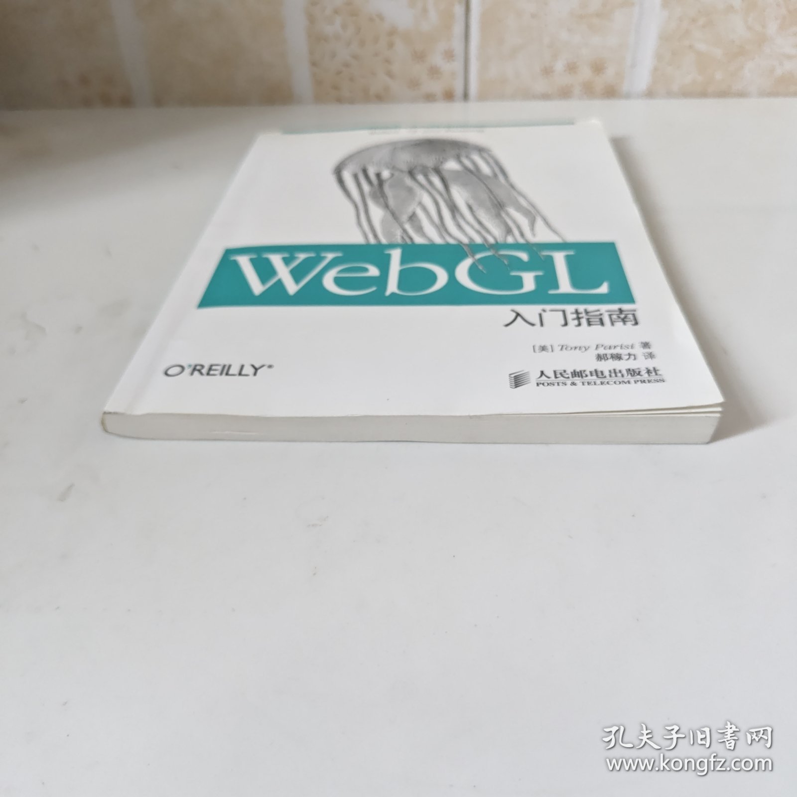 WebGL入门指南