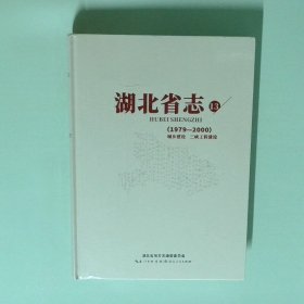 正版书  湖北省志13