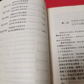 剑胆琴心 【晚清民国小说研究丛书之一种。1版1印。宛若全新。】