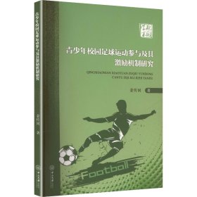 青少年校园足球运动参与及其激励机制研究