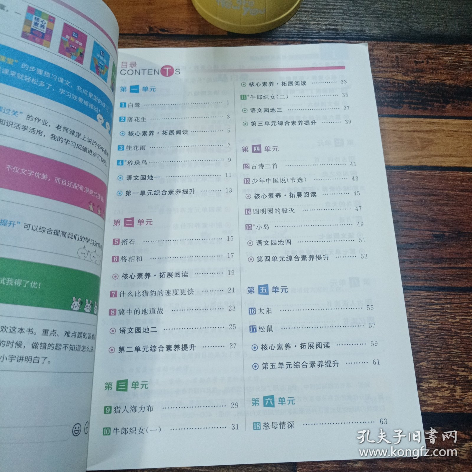 2023学缘核心素养天天练：语文（五年级上册统编版）