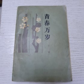 《青春万岁》王蒙著1988年版，人民文学出版