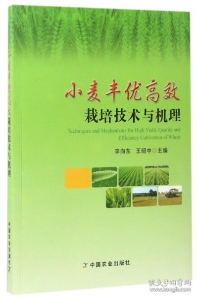 小麦丰优高效栽培技术与机理