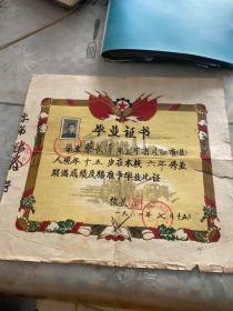 辽阳县暖阳小学毕业证书1961年