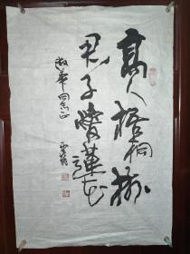 赵云龙，男，1956年生，字旨藏，斋号静云堂，当代书法家，本科学历，祖籍山东。
现为中国书法家协会会员[1]，中华诗词学会会员，辽沈名家讲坛特聘教授，中国炎黄书画协会特邀顾问，辽宁书画院副院长，中国现代民族艺术家协会副主席，中国艺术家交流协会副主席。