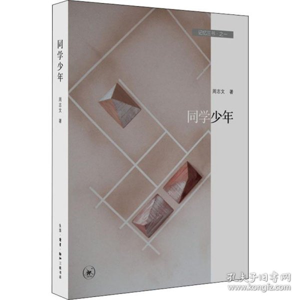 记忆三书·之一 同学少年 9787108064592
