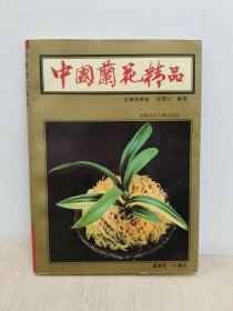 中国兰花精品