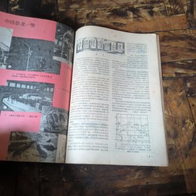 化石1982年1~4期（季刊，全年合售）