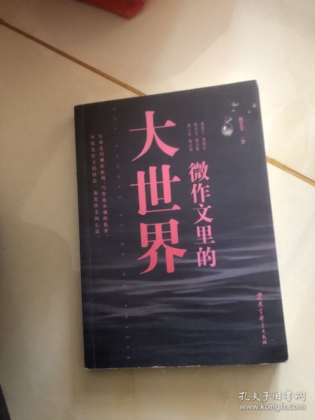 微作文里的大世界(“生命语文”首倡者、“微写作”创始人熊芳芳著，不仅是作文的技法，也是作文的心法）