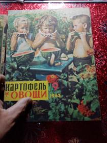 马铃薯蔬菜，1963年1到12期全，俄文版  农业大学  新疆八一农学院  李国正