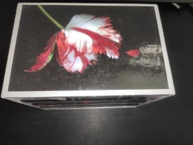Twilight + new moon + eclipse + breaking dawn英文原版：暮光之城（全四冊）