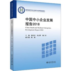 中國中小企業(yè)發(fā)展報告2018