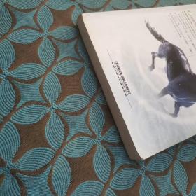 中文版Premiere Pro从入门到精通