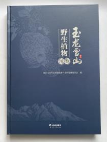 玉龙雪山野生植物图鉴