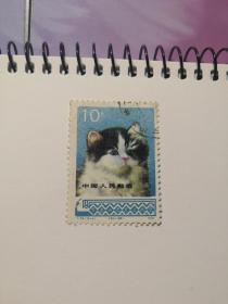 T 29 （10-4） 信销票   邮票  猫