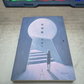 找钥匙（老舍文学奖得主文珍新作，献给那些城市缝隙中的普通人）