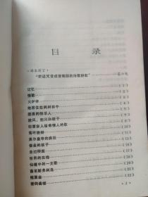 丽达与天鹅（诗集）