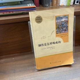 统编语文教材配套阅读 八年级下：钢铁是怎样炼成的/名著阅读课程化丛书