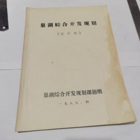 巢湖综合开发规划（送审稿）16开