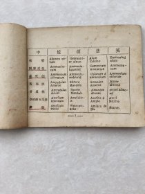 中英拉德法药名对照表（民国三十年）