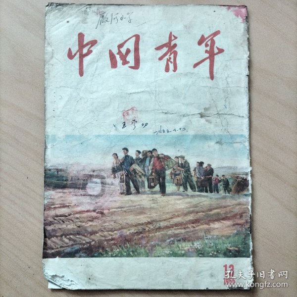 中国青年   1955年第13