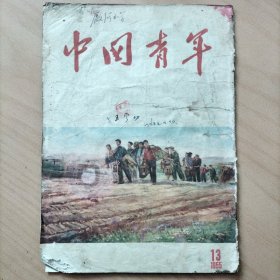 中国青年   1955年第13