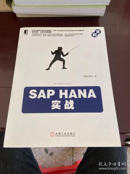 SAP HANA实战