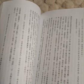 中国近百年螳螂拳术史述论稿