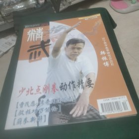 精武 2004.10
