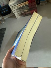 苏丹的禁宫（上下）