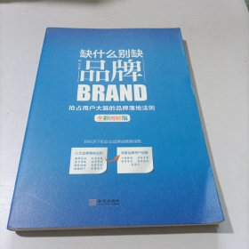 缺什么别缺品牌（全彩图解版）：抢占用户大脑的品牌落地法则