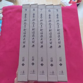 世界佛教美术图说大辞典 石窟【1，2，3，4，5】【五册合售】 品相干净