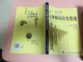 实用人体解剖彩色图谱
