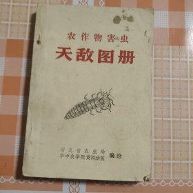 农作物害虫 天敌图册