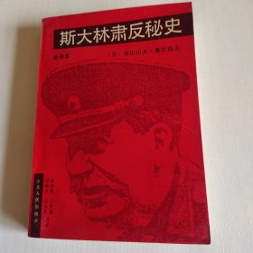 斯大林肃反秘史:全译本