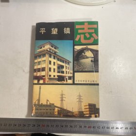 平望镇志