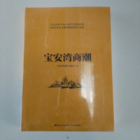 宝安湾商潮