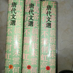 唐代文选 上中下
