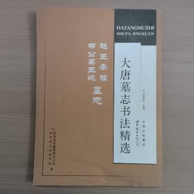 大唐墓志书法精选：赵王李福、韦公妻王婉墓志