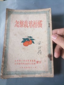 怎样栽培柑橘（1954年一版一印繁体竖印）