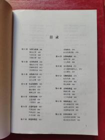 中国文学史（下）