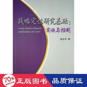 战略定性研究基础：实施与控制