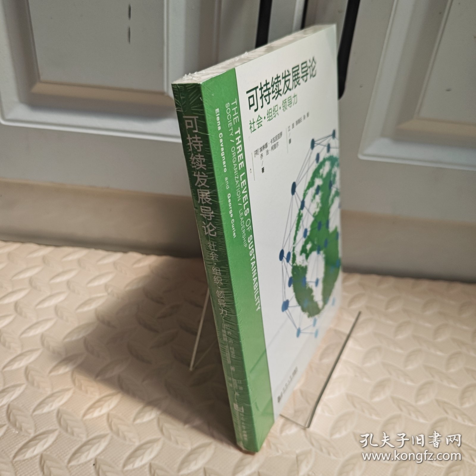 可持续发展导论 : 社会•组织•领导力