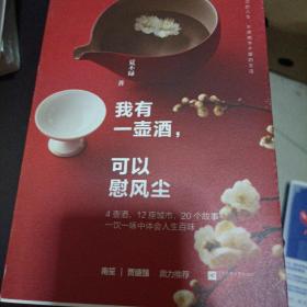 我有一壶酒，可以慰风尘