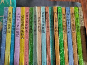 历代名家书法荟萃 赵佶 赵构,王献之,欧阳通,李纲 岳飞 ,鲜于枢,董其昌,颜真卿,唐伯虎,王铎,黄庭坚,林则徐,文徴明,祝枝山,苏东坡,康有为,米芾,智永,康里巎,张旭 怀素。19本不重复。可单卖也可打包出售,拍前请沟通。