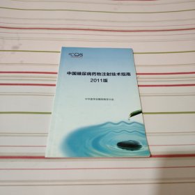 中国糖尿病药物注射技术指南