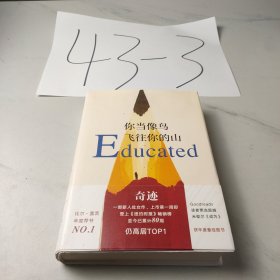 你当像鸟飞往你的山