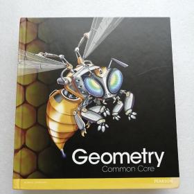 Geometry（全英文几何分析）