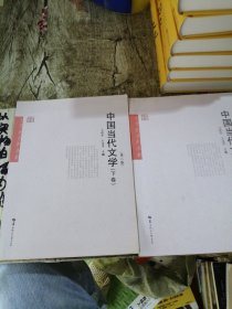 文学史系列教材华大博雅高校教材：中国当代文学（上下）（第2版）